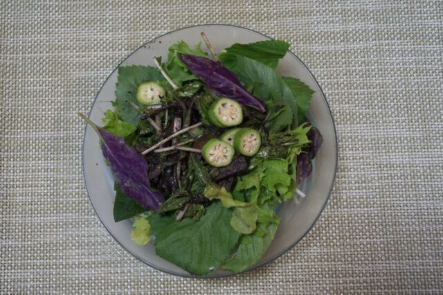 高野豆腐とひじきの胡麻わさびサラダ